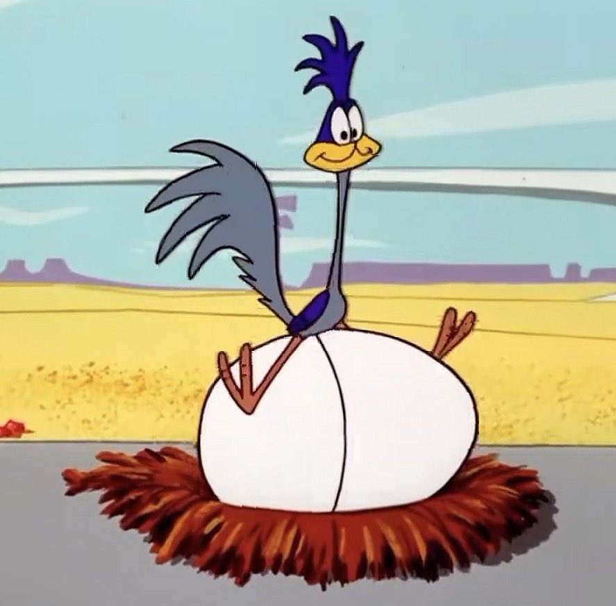 Ikinsatoritendo's tweet photo. What if roadie in this scene scented the coyote and thought he had layed an egg and had no idea how to take care of it so he took care of the egg of his mate for him and thought it was theirs 😭 https://t.co/owoJ2UDOb8