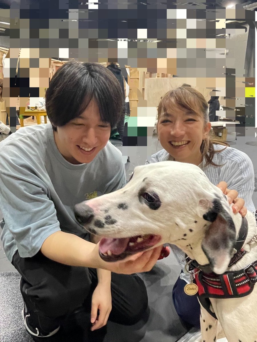 KurutoKai's tweet photo. #101ダルメシアンズ

推し犬はやっぱり
ダルメシアンっっ❣️❣️

ダルメシアンカフェ101から
ザダルくんが
稽古場見学に🐾🐾🐾

稽古しながら
キャストはデレデレ笑

ザダルくんに会いたい方は
こちらへ
https://t.co/OYtToTxtUf

101ダルメシアンズ見たい方は
日生か梅芸へ❤️
https://t.co/I51gpYK9lF https://t.co/KIVTEKp5Te