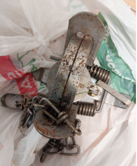 Image of metal trap sitting on white plastic bag