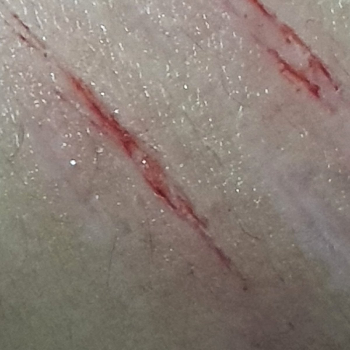 FioleEE3's tweet photo. i had a bad day and all i can do is bby styros sighhh💔  #shedtwt #shrttwt #sh
 all sfx make up gen by ai im so excited for halloween woohoo https://t.co/CPmj4k4dxH