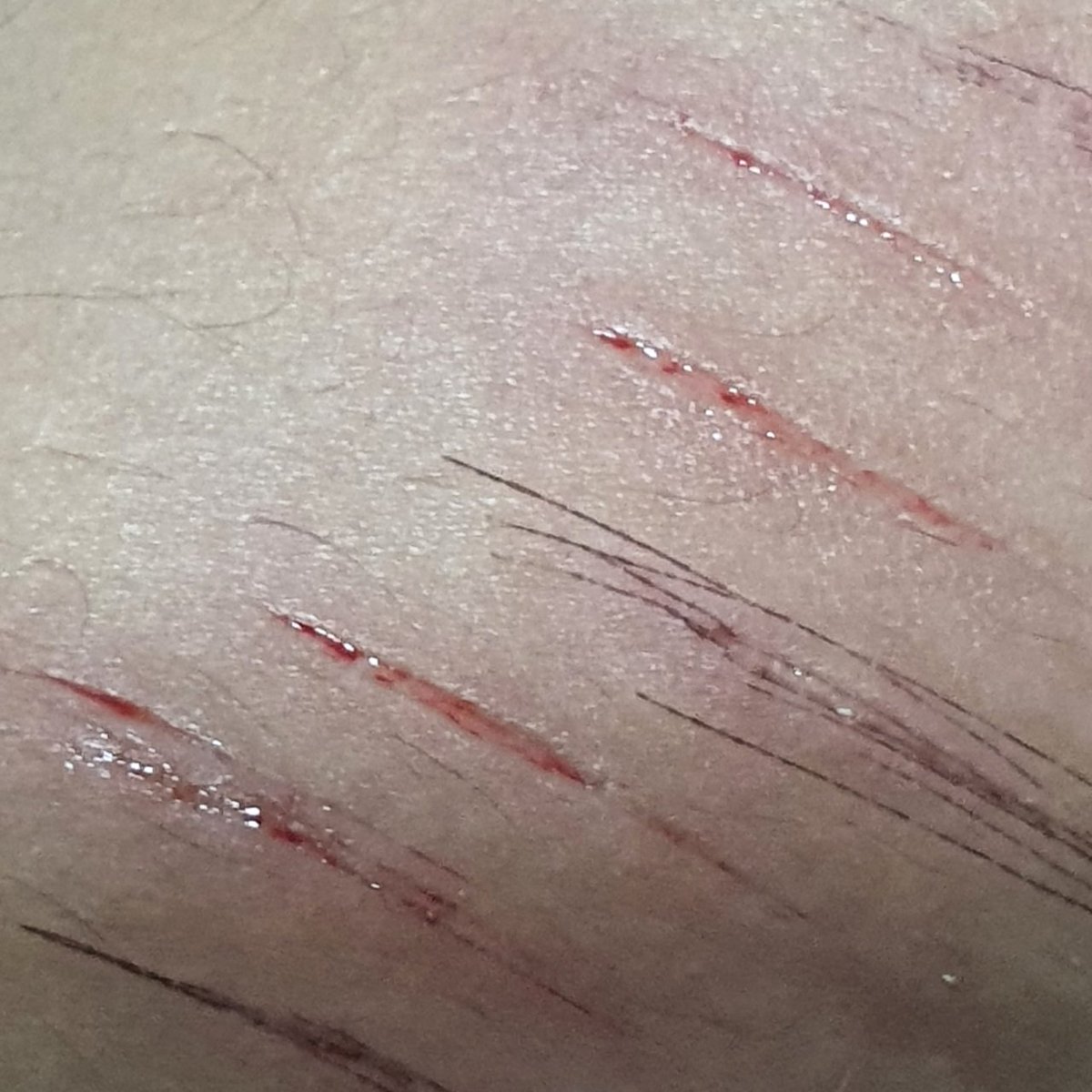 FioleEE3's tweet photo. i had a bad day and all i can do is bby styros sighhh💔  #shedtwt #shrttwt #sh
 all sfx make up gen by ai im so excited for halloween woohoo https://t.co/CPmj4k4dxH