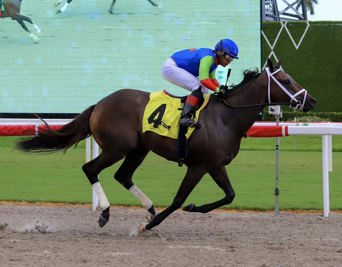 JFDAngelo's tweet photo. Dune Road • Miguel Angel Vasquez • Jose Francisco D’Angelo

#GulfstreamPark | #SunshineMeet | #HorseRacing https://t.co/4Zx5K3ECc7