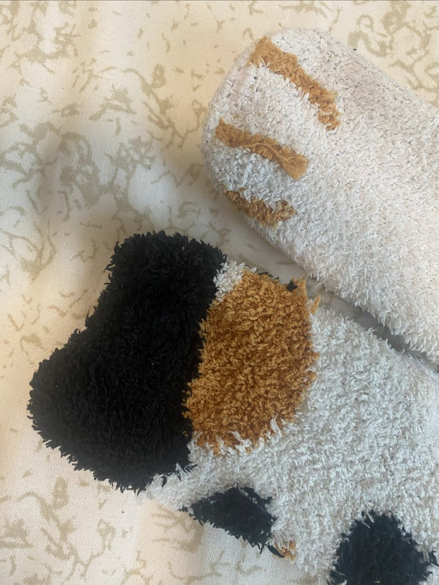 muetos's tweet photo. Just found 2 matching mismatched socks on the couch u0026 laughed so hard—our random little routines make every ordinary day sweet. https://t.co/xgI0qC6oJ5