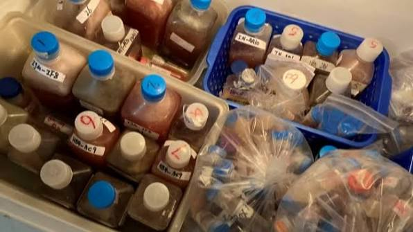 R_H_Ebright's tweet photo. There are not even licensing or notification requirements. Any person in any state in the US may open a biolab producing deadly pathogens like SARS-CoV-2, MERS virus, Clade II Mpox virus, or Andes hantavirus without needing to obtain approval from anyone or even to inform anyone. https://t.co/vGJWYvqWMr