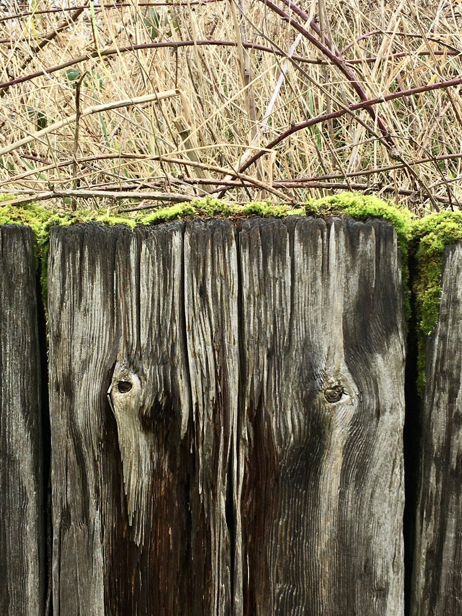 FloralRainbowAW's tweet photo. For #WeekKForKn #AlphabetChallenge
A knotty post π https://t.co/o0ydUtsBdV