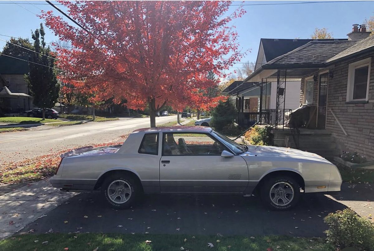 Jason41130763's tweet photo. Some Pictures of My 1987 Monte Carlo SS Mid October #montecarloss #chevrolet #classiccars https://t.co/r1K63vrT7G