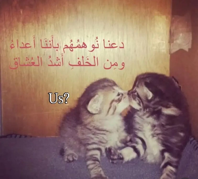 ltuxja's tweet photo. https://t.co/BXvWxbXrxj