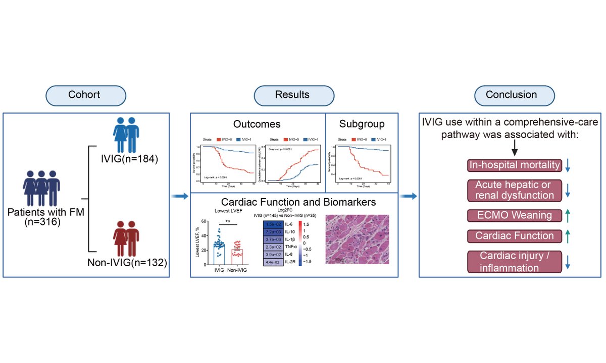JCA_Journal's tweet photo. 🔬 Just Published | JCA
Intravenous immunoglobulin use and in-hospital outcomes in adult fulminant myocarditis: a two-center retrospective cohort study
Corresponding author: Prof. Dao Wen Wang (China)
🔗 https://t.co/y15NT5H3zk
#FulminantMyocarditis #IVIG https://t.co/cqx9ssk0N7