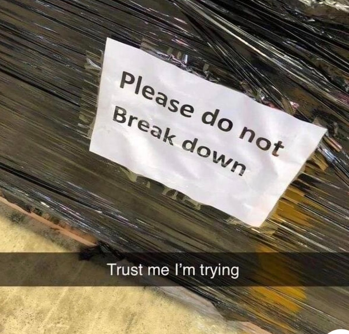 JasPhoenix_Rise's tweet photo. Didn't expect to feel seen by a pallet in a warehouse, but here we are. 😭😂 https://t.co/YN63Zr3uqt