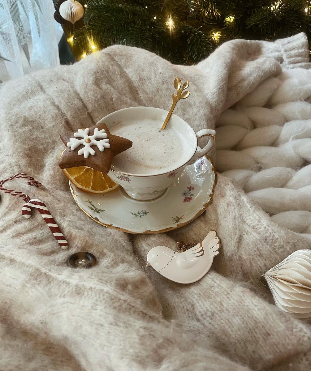 JarvisKulling's tweet photo. Hi, Belated New Year’s wishes—may 2024 be a successful year! Our final photo in a festive mood, although there’s no trace of the holidays left here. Now we’re officially counting down to spring. Have a lovely Sunday! https://t.co/pacuwr5MF7