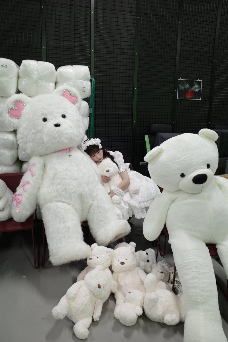 yamamoto_anna_'s tweet photo. 寝てたらMV制作のスタッフさんが
くま囲みしてくれてた🐻‍❄️🎀 https://t.co/nR8ZzArpVr