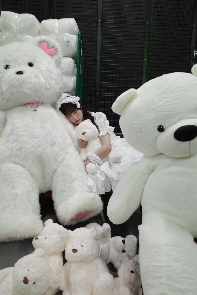 yamamoto_anna_'s tweet photo. 寝てたらMV制作のスタッフさんが
くま囲みしてくれてた🐻‍❄️🎀 https://t.co/nR8ZzArpVr