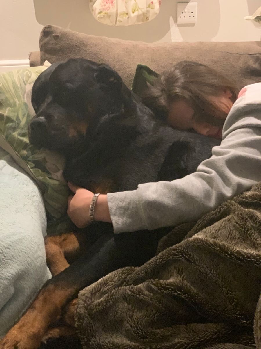 Cynthiauzbd's tweet photo. Live together 💦👇 

https://t.co/baVqDPGDx8

#zoosex #animalporn
#zoophillia #zoosarevalid #beastiality #dogknot #zooprideisvalid #zoophiletwt 
#zootwt #zoopositivity #Zoophilia #Zoo #Bestiality #doglovers #usa #artofzoo #dogwhole #knotty #dogpill #dog #dogknotty https://t.co/R5EJjBt6yy