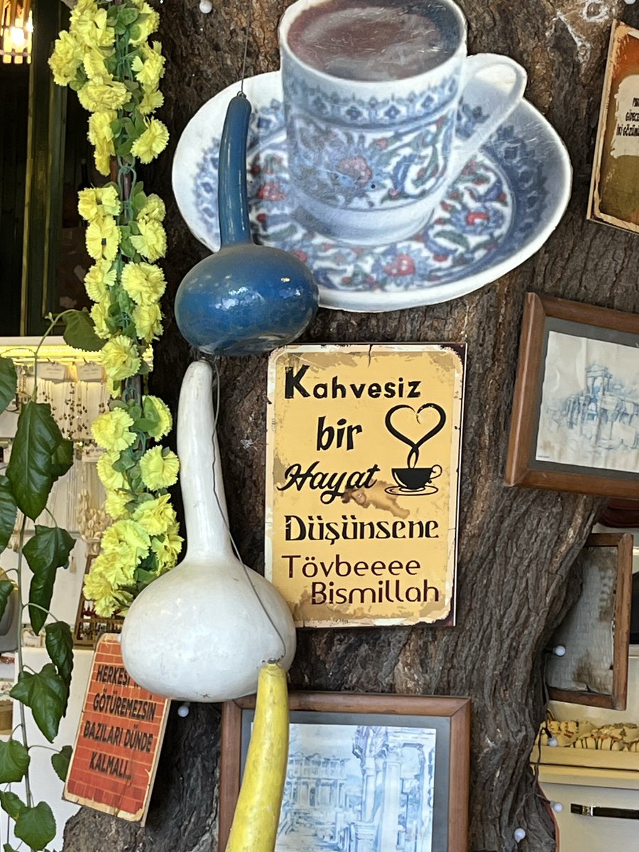 NyzAltnl's tweet photo. https://t.co/rvsDkebS0g