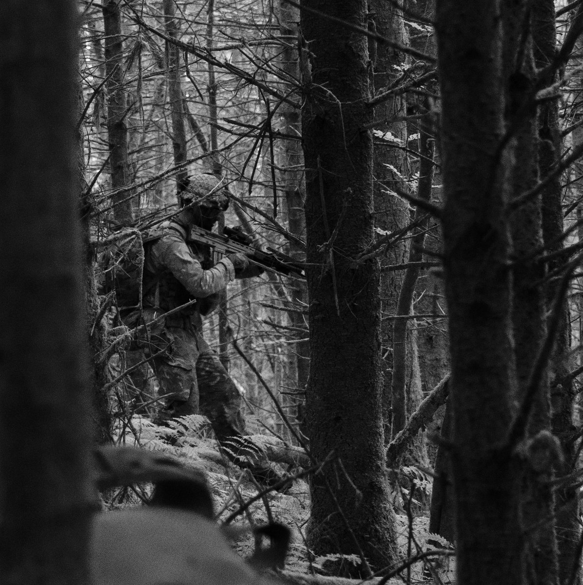 DefenceOps's tweet photo. 🌗 Daylight fades. The training doesn’t.

From first light to after dark, Exercise Combined Warrior tested personnel around the clock - building the skills and readiness needed to operate whatever the conditions.

🌙 Training doesn’t stop when the sun goes down.

@BritishArmy https://t.co/BMYtDGDtkn