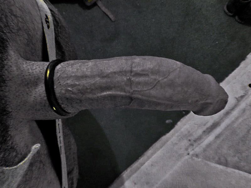 bulletsnbones tweet picture