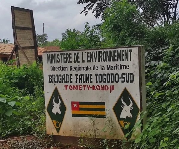 KAubine35308's tweet photo. Le projet #WACA investit plus de 1 milliard FCFA dans la réserve de Togodo. Renforcement de la #sécurité, retour des grands mammifères et perspectives écotouristiques durables pour le Togo.
#Togo #Biodiversité #Écotourisme @WacaTogo https://t.co/caKBidu5ra