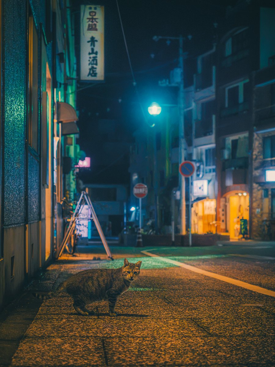 Ryoppi05670209's tweet photo. 雨音が去った夜の片隅で. https://t.co/AYAUFAgIW6