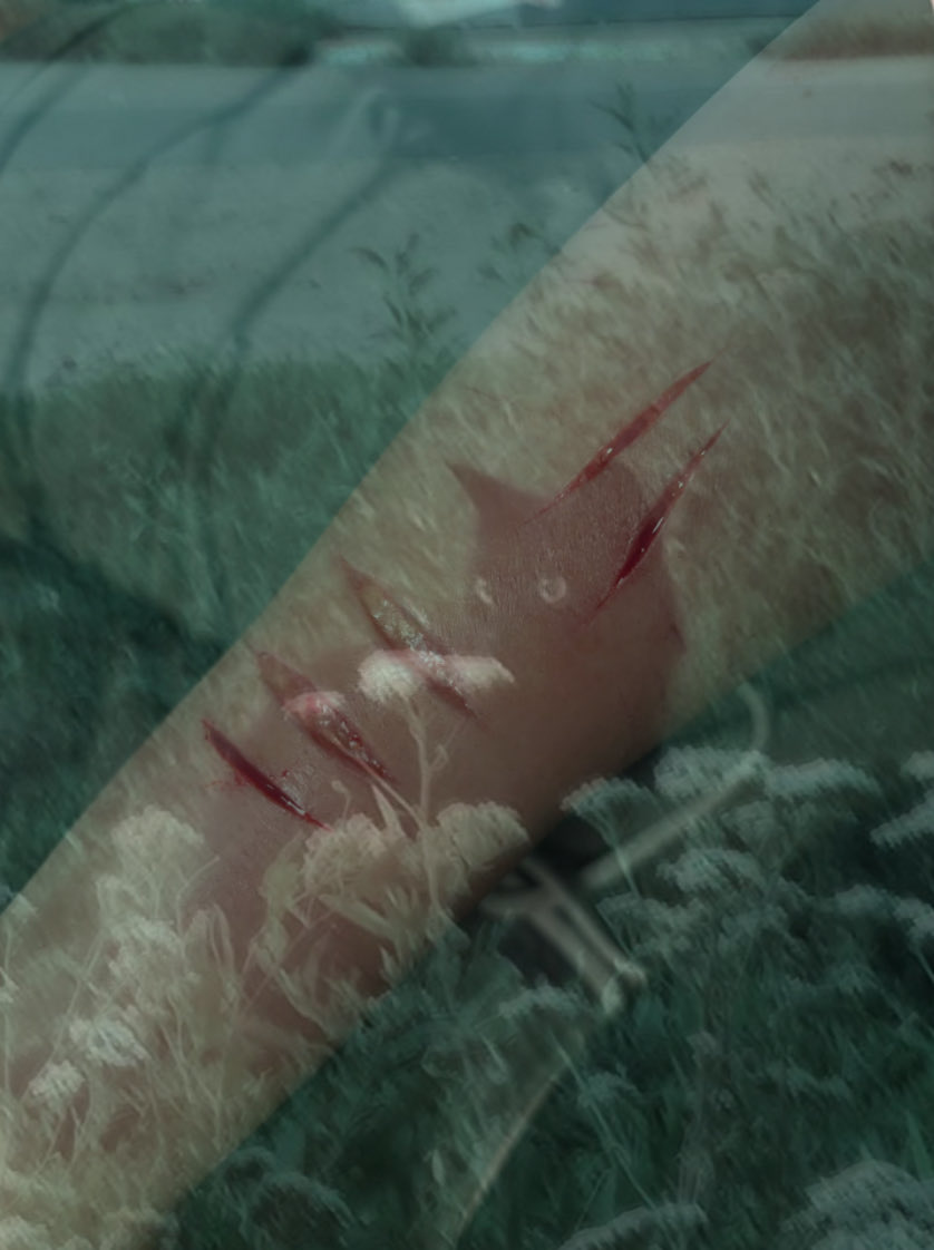 _YukiAngel_666's tweet photo. SFX MAKEUP FOR HALLOWEEN 
FAKE BLOOD ALL FAKE!!

⊹₊˚‧︵‿₊୨ᰔ୧₊‿︵‧˚₊⊹
(repost)

#shtwt #SFXmakeup #ouchietwt #988tw #shedtwt #beanstwt #slittwt #moothunt〃・ #fakeblood #makeuppractice #edrtwtㅤ https://t.co/J7K8eGDtQM