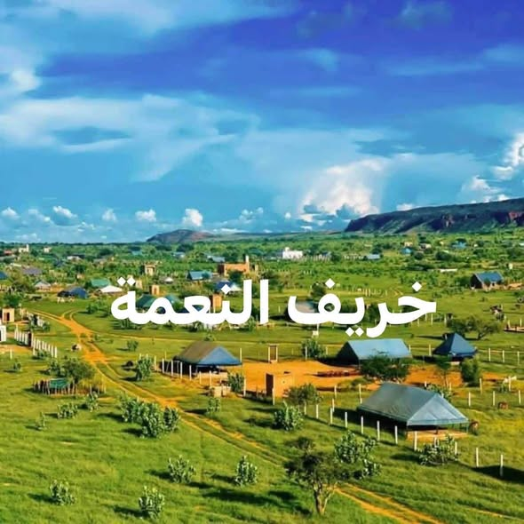 SidiSidimubarak's tweet photo. أماكن سياحة والمناظر الطبيعية في موريتانيا https://t.co/Yl7YdsWc8r
