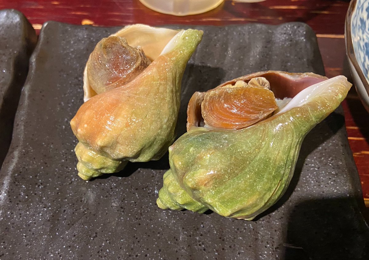 gosm_bkn's tweet photo. 北の果てに降臨🤩 https://t.co/MZjAwc4m8O