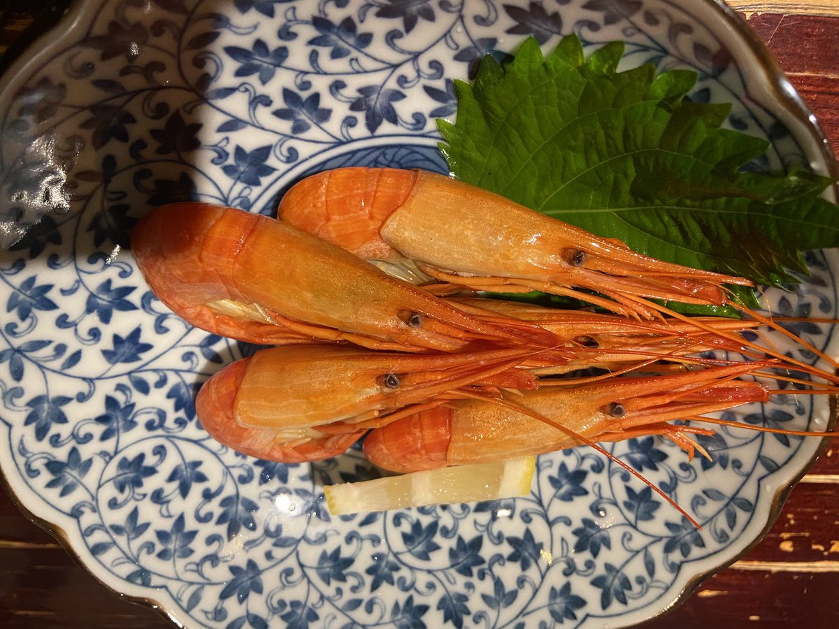 gosm_bkn's tweet photo. 北の果てに降臨🤩 https://t.co/MZjAwc4m8O