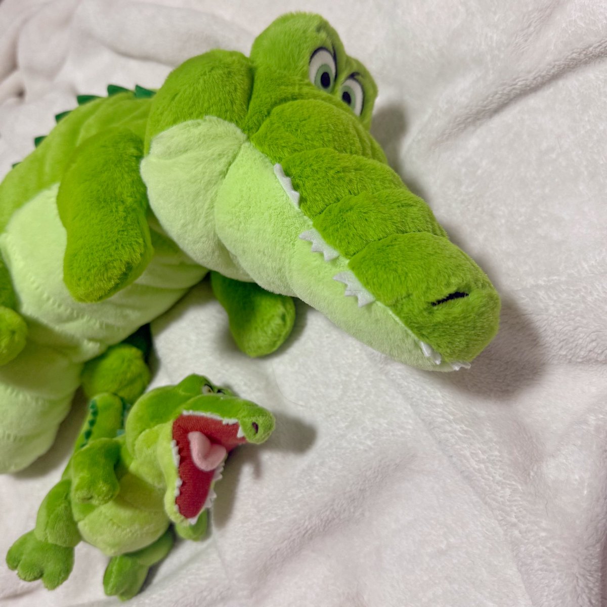 quokka217's tweet photo. カワイイ…ウレシイ🥺🥺♡ https://t.co/9qLj2Sgdqt