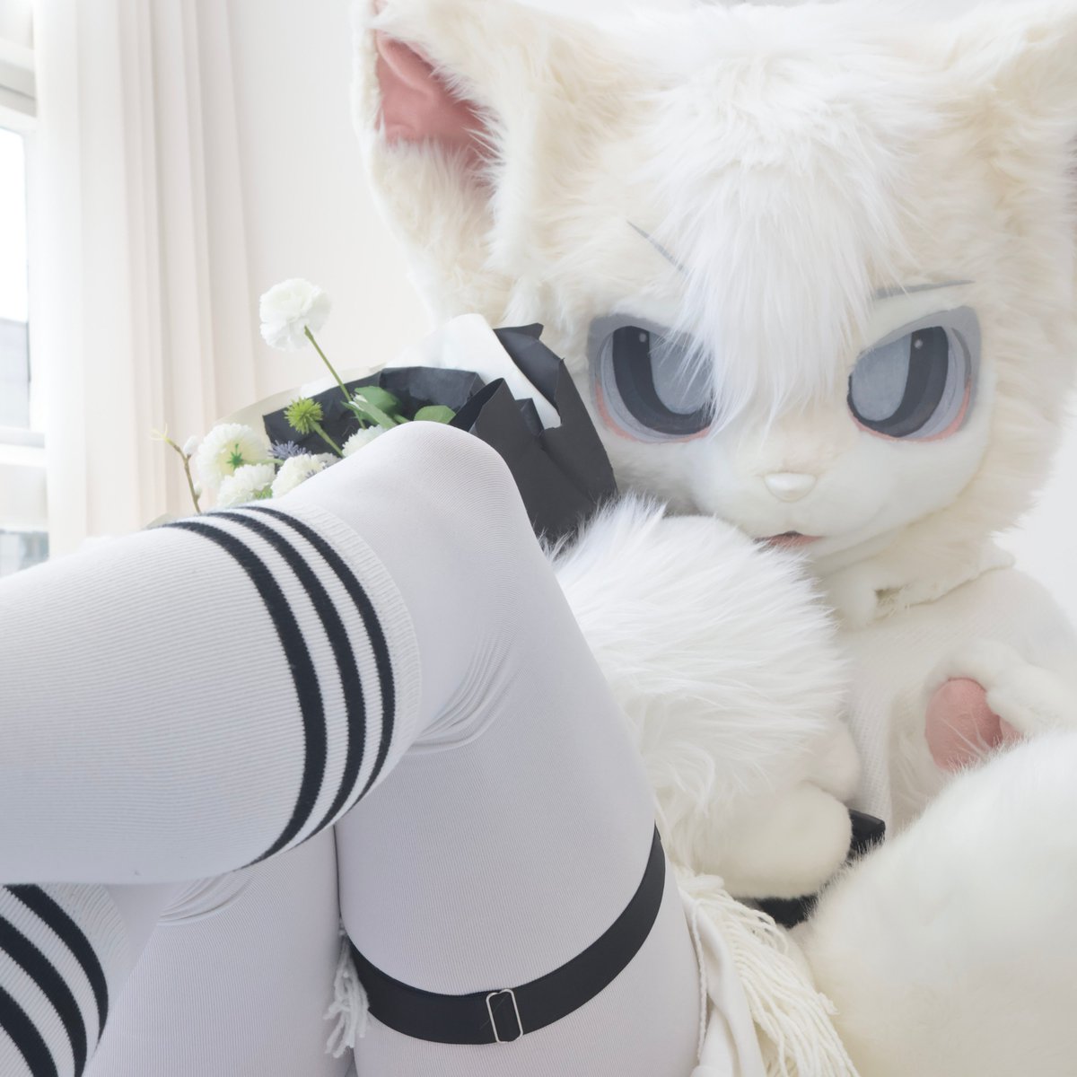 Gamto_Artwork's tweet photo. 🤍🖤🤨
-
#FursuitsEveryday 
-
📷: @ BasdogNews 
🤍: @TowaFox_Suit https://t.co/LMsnvcnYid