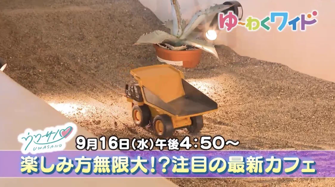 ゆ〜わくワイド TOSテレビ大分【公式】 on X: 