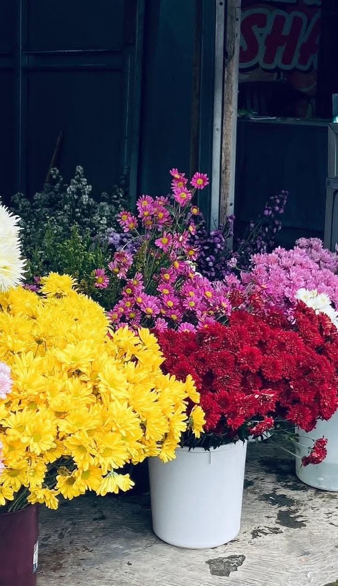 kleyshj's tweet photo. 💐💐💐 https://t.co/X25DbXYTU0