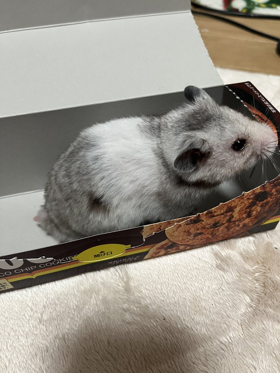 86star's tweet photo. サクサク、あまあま https://t.co/c4DPq8WzWd