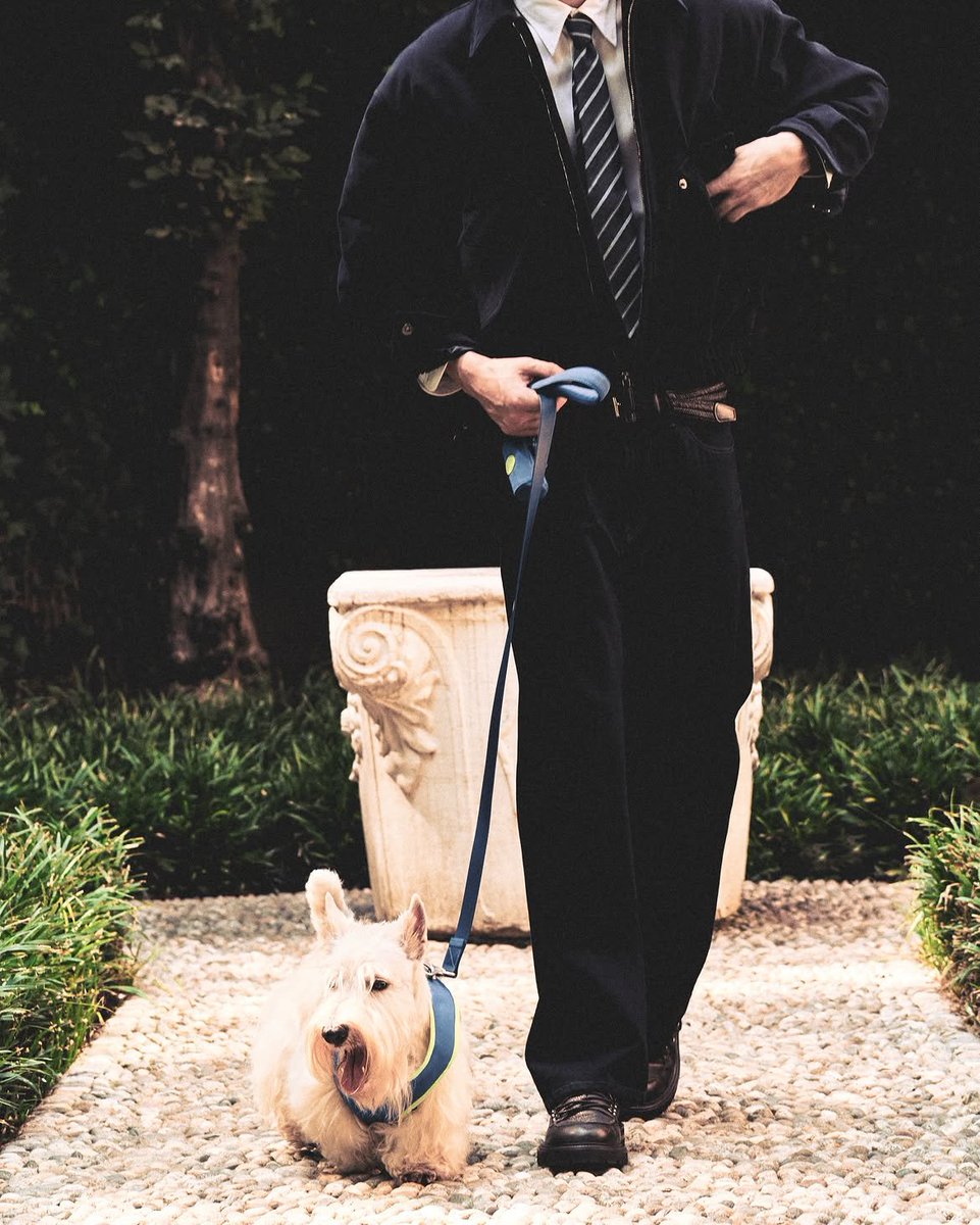 cppluxury's tweet photo. GIORGIO ARMANI launches new Fall 2026 dog wear with Poldo Dog Couture 

#GiorgioArmani #PoldoDogCouture #dogwear #luxuryfashion #luxury @GiorgioArmaniRP https://t.co/I9D0lWHpQk