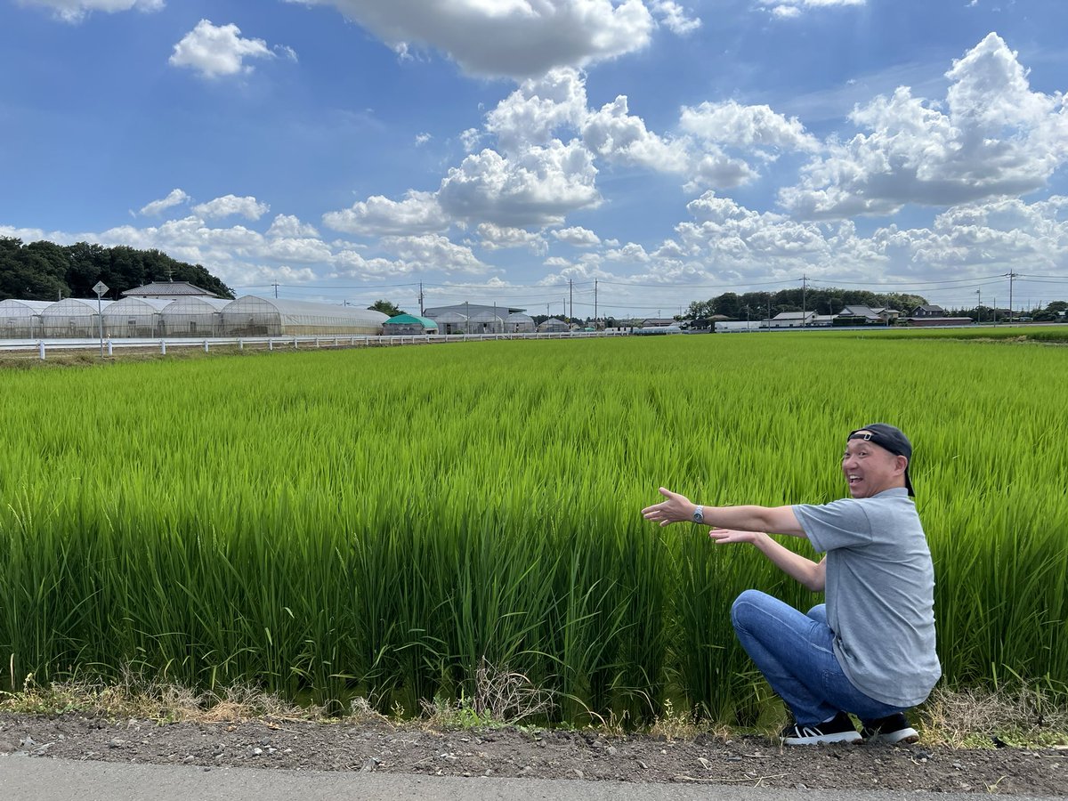 gogopiromi's tweet photo. ジンセイプロ初めてのお米作り YouTube配信！続編
第2弾ですが天候不順と所属タレントとのスケジュールが合わず3名タレント参加のみ(スタッフ４名)のズッコケ 
波瀾万丈すぎる動画をお楽しみください！
YouTube 配信で６年ぶり恒例ジンセイプロお笑い研修旅行小復活！！
https://t.co/EXQMRs2GE5 https://t.co/DQeMssQeR2