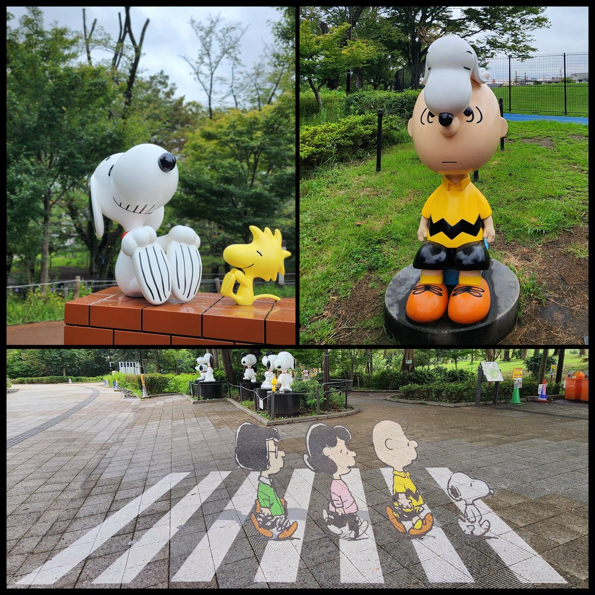 chobin_daily's tweet photo. 今日の散歩
スヌーピーがたくさん🐾
最初の動画はトリックアートです😊
#散歩
#散歩好き
#スヌーピー https://t.co/sEqwBQWopn