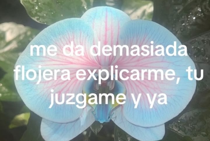bekiiuuuv's tweet photo. https://t.co/Xqr8hxotua