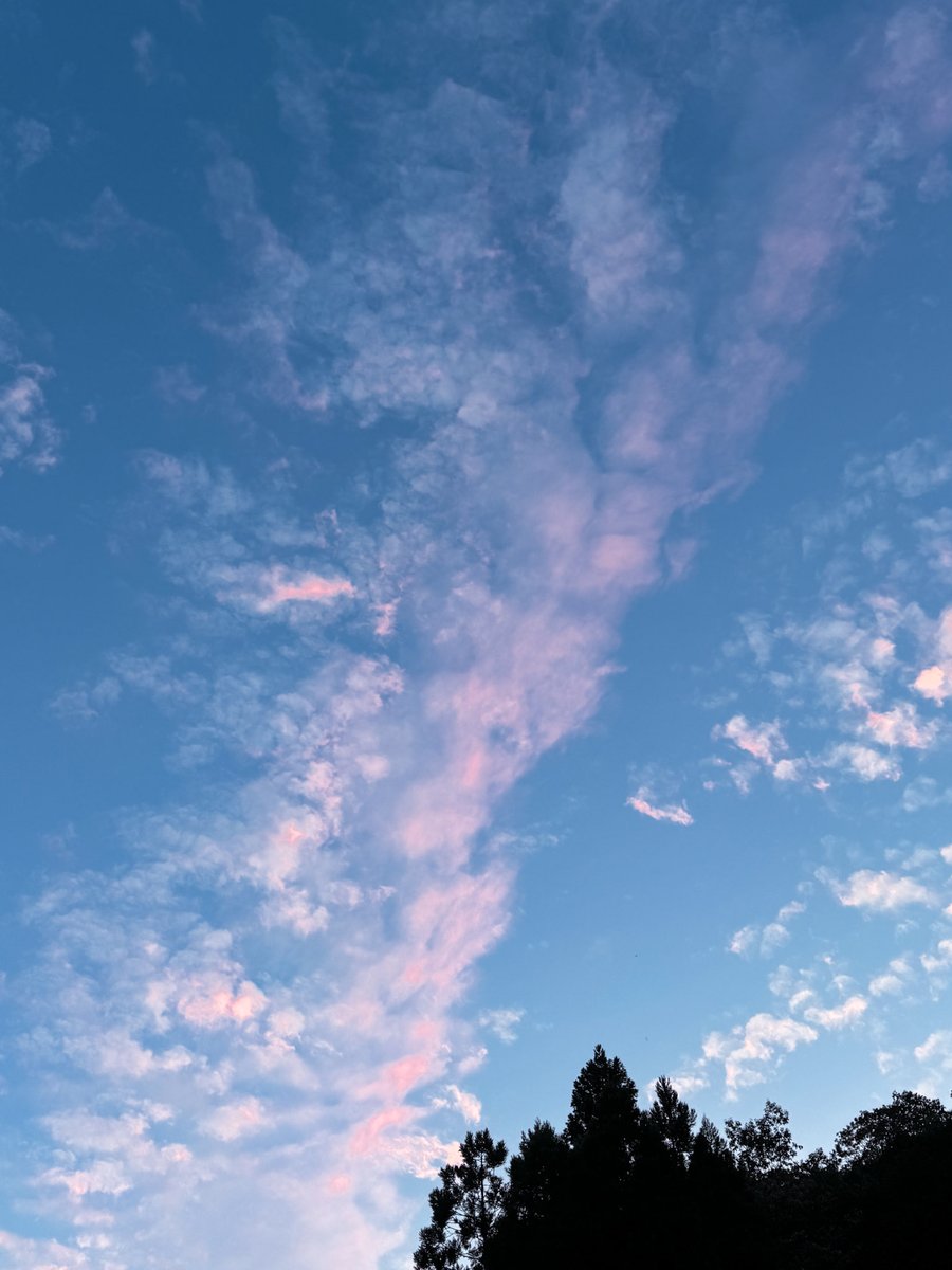 gra69ciel's tweet photo. シルバーウィークは天気崩れるのかな https://t.co/6LGYFwCl6u