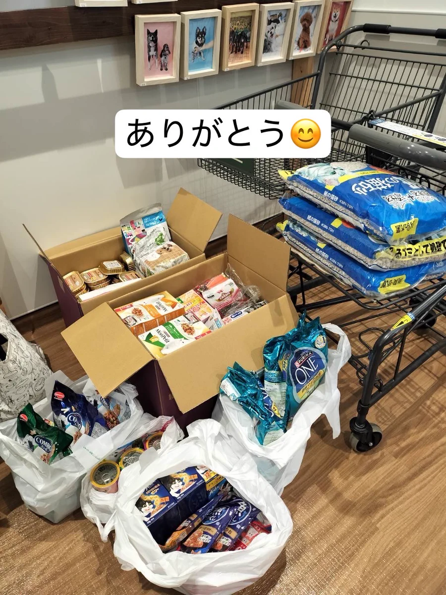 ニャンニャンみずほ🐈地域猫の会 on X: 