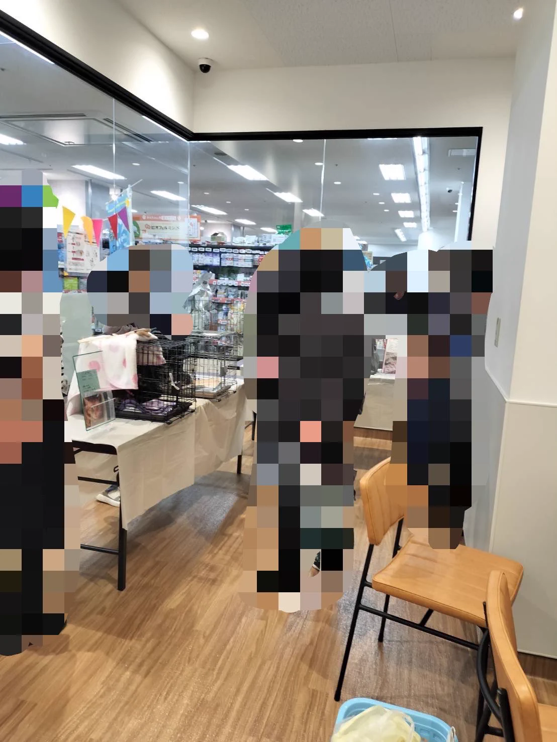 ねこねこ委員会 ニャンニャンみずほ🐈地域猫の会 on X: 