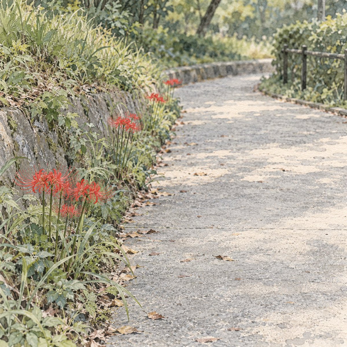 PathToJapan800's tweet photo. Autumn does not always arrive as a whole landscape.

At a public park in Saitama, red spider lilies bloom around September along the embankments. In 2026, the autumnal equinox falls on September 23.

A narrow line of red beside an ordinary path can make the seasonal turn visible before the whole view has changed.

The route stays ordinary. What it lets you notice has shifted.