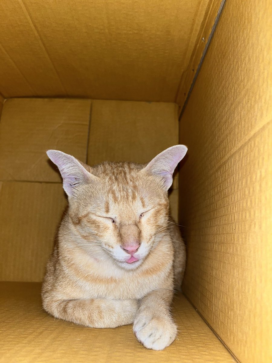 gk0dek's tweet photo. แค่หลับตาลง https://t.co/bLvV66oBqh
