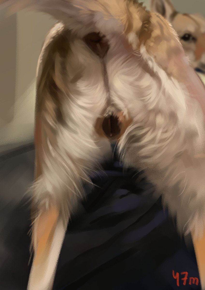 HellFokker's tweet photo. Studies https://t.co/avw6KLwelf