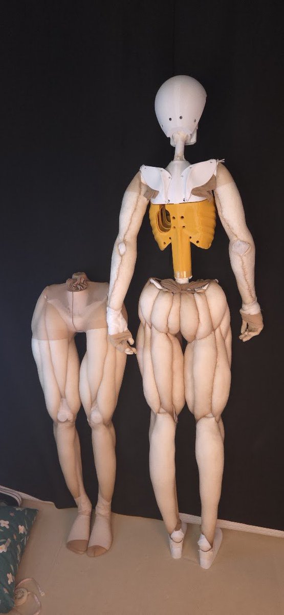 chuukurai's tweet photo. Xさんは尻の方がセンシティブらしい？
等身大ドール 抱き枕 anatomy https://t.co/spwDDkV7WM