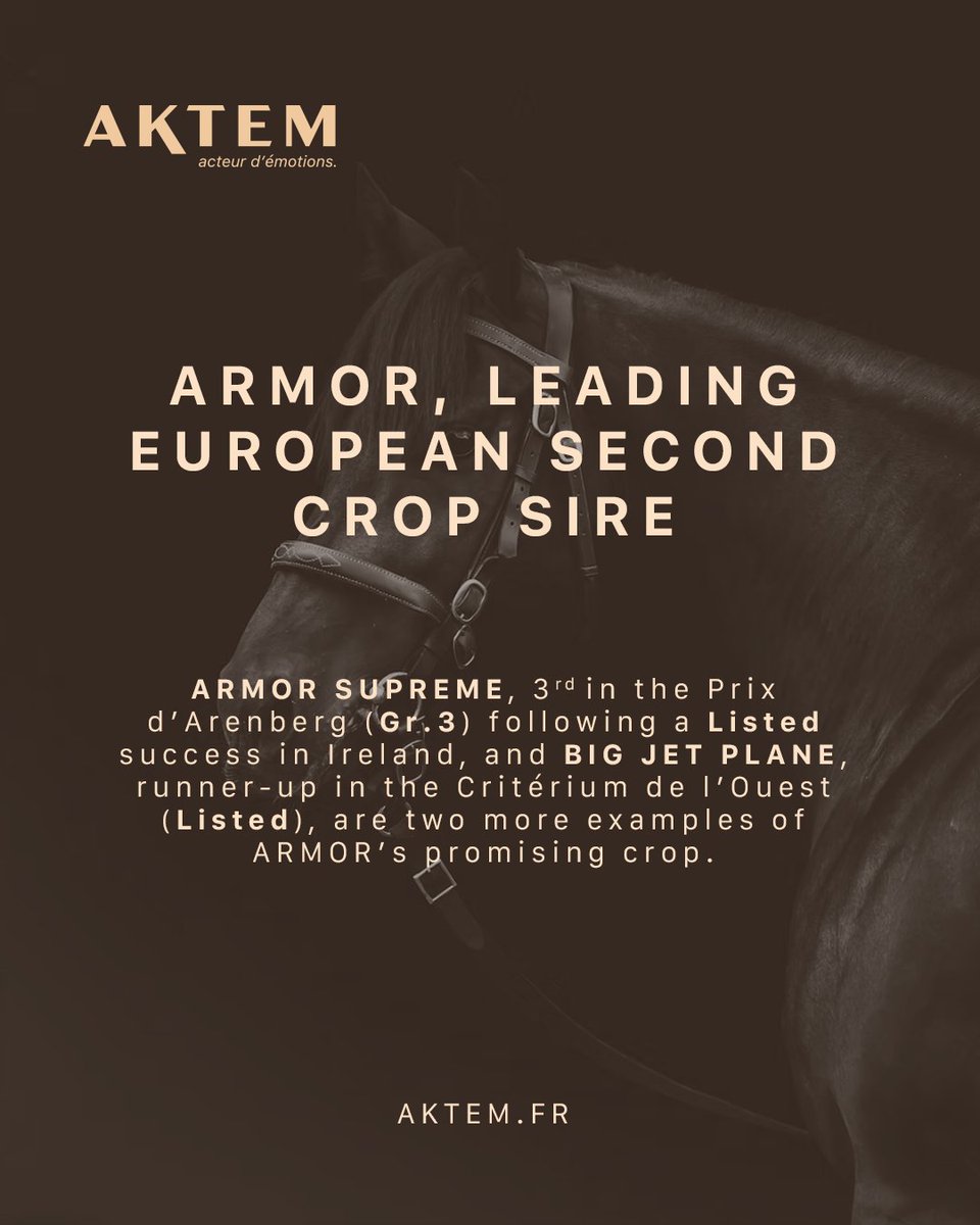aktem_auction's tweet photo. Discover the latest updates… and then explore their yearlings in our selection.

2 yearlings by ARMOR to discover in the catalogue 🔎 https://t.co/NuMehNLdGa
🗓️ Flat Yearling Sale - September 18th
📍Maisons-Laffitte https://t.co/3HSluvc1Qj