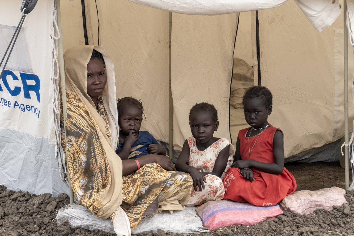 UNHCRinSudan's tweet photo. “We had been sleeping under the sky”

In Blue Nile, 4 families share what displacement, return &amp; starting over look like.

With support from Sudan Humanitarian Fund #SHF, UNHCR is helping families with shelter, cash assistance &amp;protection.

Their stories👉 https://t.co/milZdqH3K5 https://t.co/A8irhP3CnT