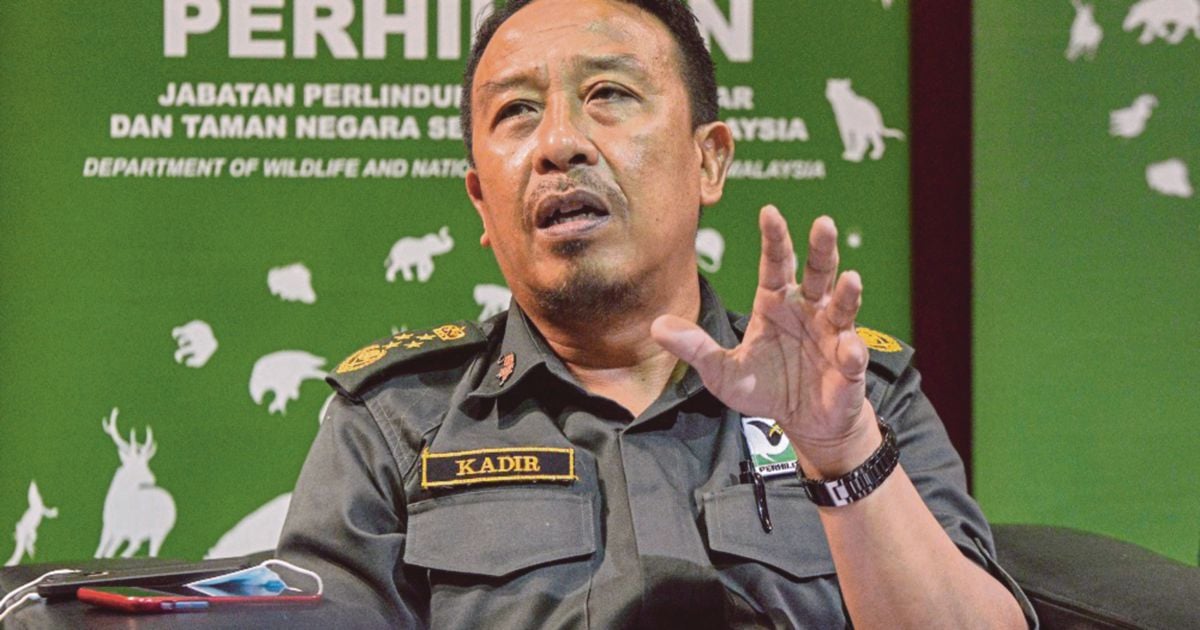 hmetromy's tweet photo. #Minda Saya sudah berkhidmat lebih 36 tahun. Tiba masa untuk berundur (bersara). Moga kecemerlangan dan sumbangan besar PERHILITAN kepada negara akan diteruskan."
https://t.co/YmifktaoyK https://t.co/Ho1WxeER7u
