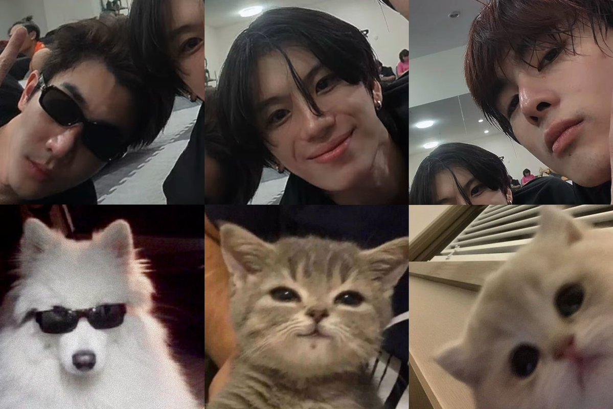 mysantapp's tweet photo. 🐶🐱🐱❤️‍🔥❤️‍🔥❤️‍🔥

#HeartboundSeries https://t.co/pKxs2LLIl5