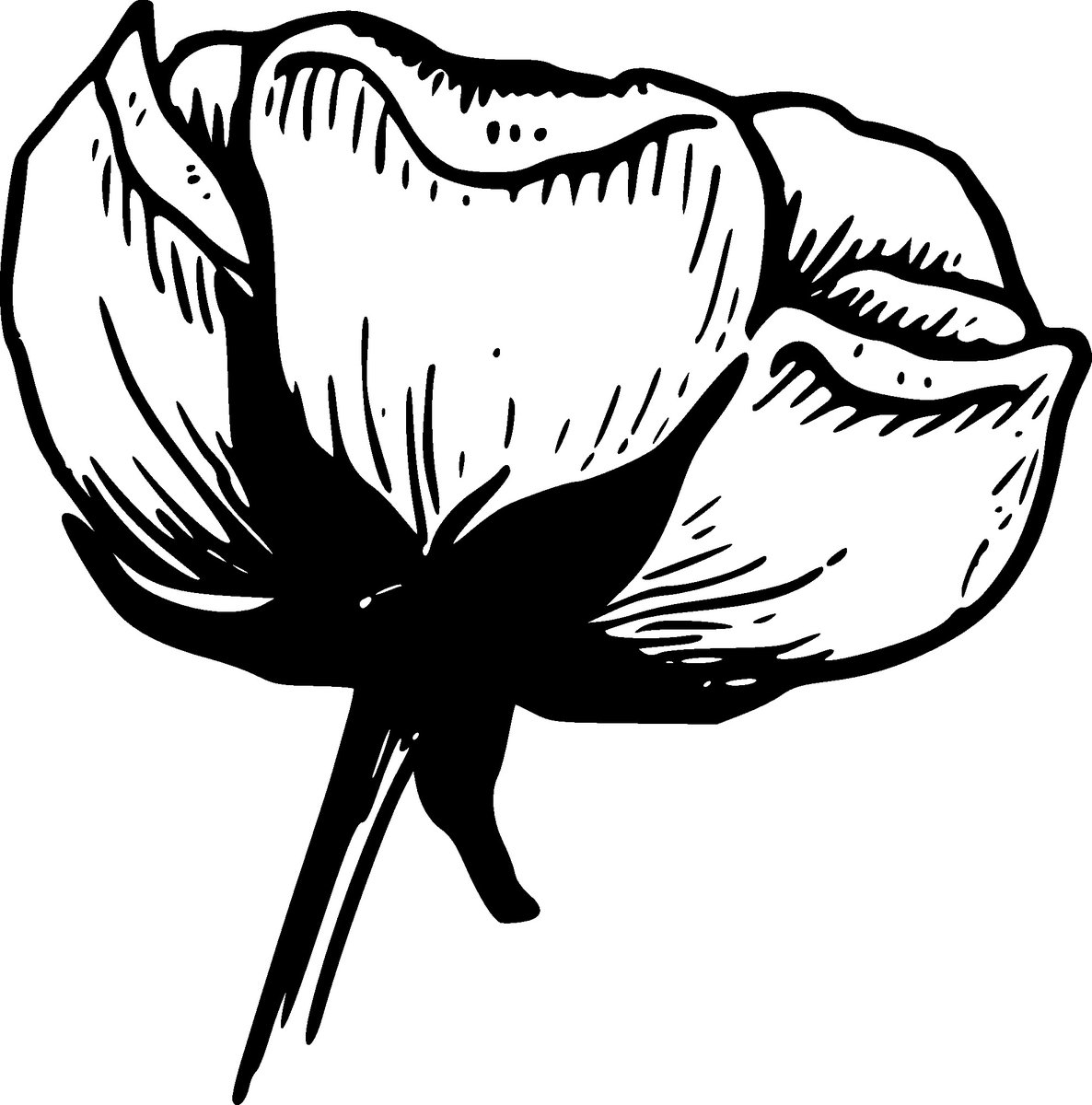 EmilyAllennzf's tweet photo. A Gentle Reminder for Your Growing Soul ✨ Sometimes, the bravest thing you can do is simply keep going when the world feels heavy. https://t.co/TPkicVaoz5