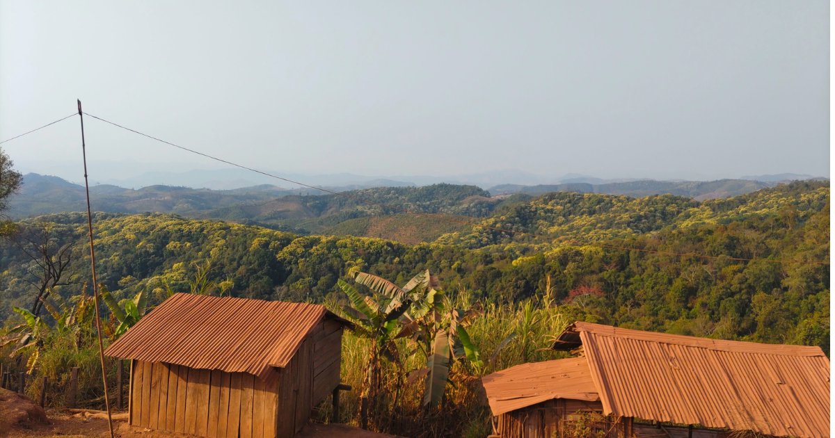 jica_direct_en's tweet photo. Efforts:
・Establish sustainable forest-use rules 
・Monitor forests from space  
・Support livelihoods through farming and livestock raising 

The changes seen from space are also the result of people working to protect forests for future generations.
🔗 https://t.co/Rzs7kMmNNB https://t.co/hUSfgkz5aA