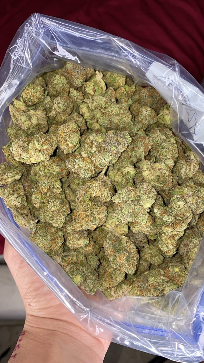 lamenpauls's tweet photo. Master Kush
#NewZealand #Aotearoa #Auckland #Wellington #Christchurch #Hamilton #Tauranga #Dunedin #PalmerstonNorth #Napier #Nelson #Rotorua #Whangarei #Queenstown #Invercargill #NewPlymouth #Hastings #Gisborne #Aucklandweed #Wellingtonweed #Christchurchweed #Hamiltonweed https://t.co/rt62lcRvsN