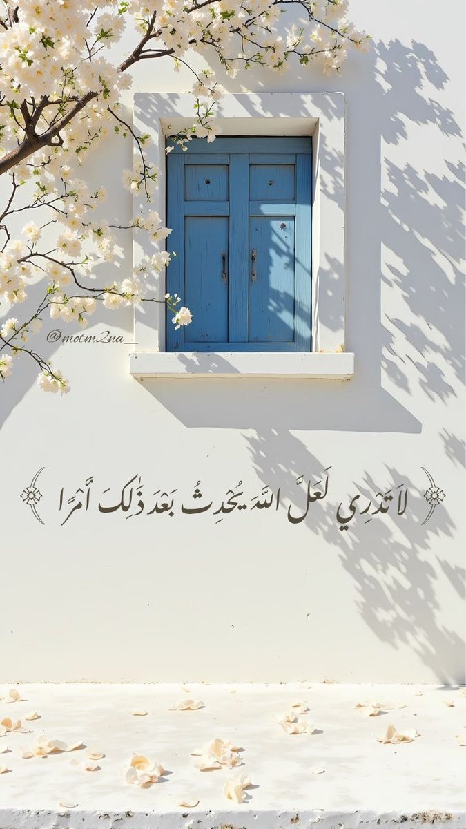 motm2na_'s tweet photo. هَـوِّن عَليِك💙 https://t.co/K9fGal1Ct6